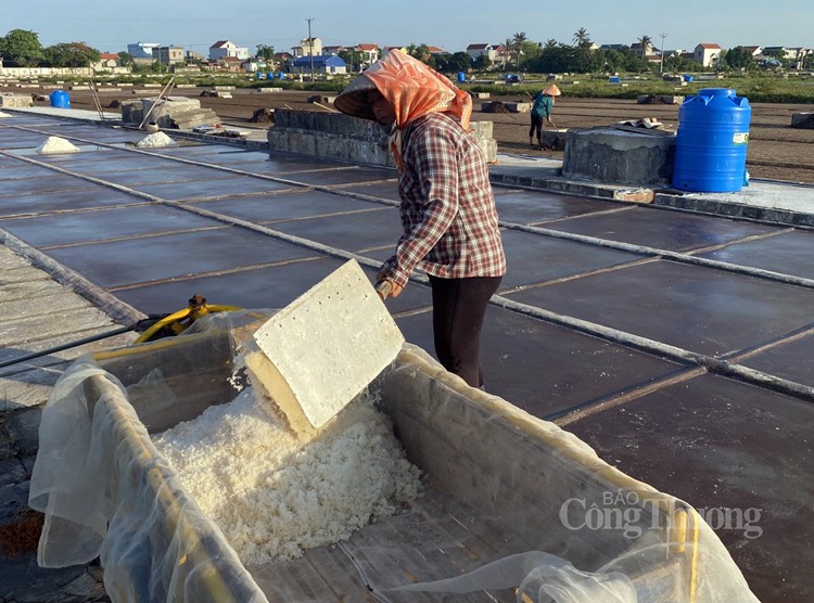 Diêm Điền, đất muối bao giờ quay trở lại Diêm Điền, đất muối bao giờ quay trở lại