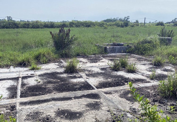 Diêm Điền, đất muối bao giờ quay trở lại Diêm Điền, đất muối bao giờ quay trở lại