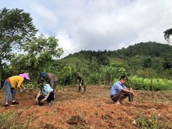 Tỉnh Hà Giang: Tín dụng chính sách giúp người nghèo thay đổi tư duy