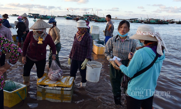 Ngư dân huyện Giao Thủy phấn khởi vì được mùa cá khoai