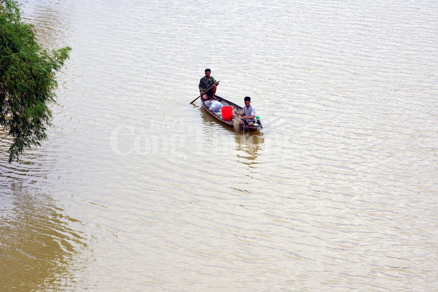 con cuong diem den hap dan noi mien tay xu nghe