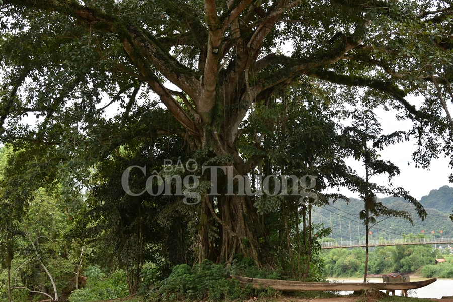 con cuong diem den hap dan noi mien tay xu nghe