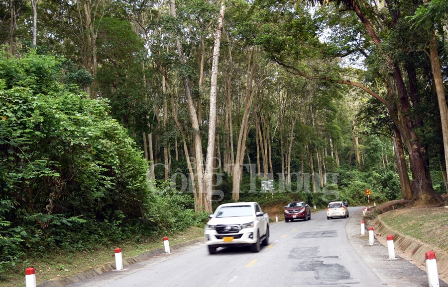 con cuong diem den hap dan noi mien tay xu nghe