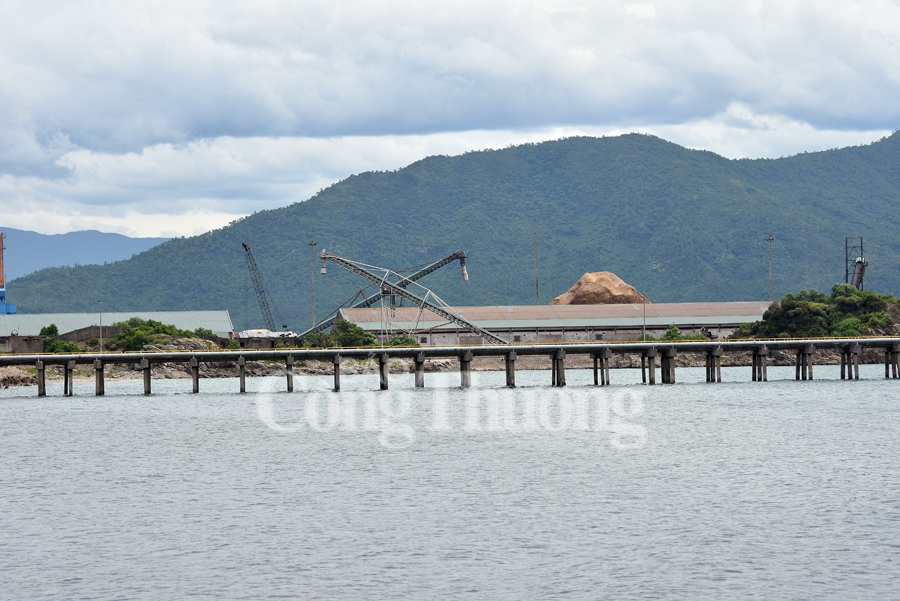 ha tinh dau tranh quyet liet voi buon lau gian lan thuong mai