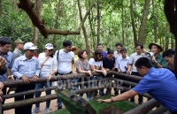 Ấn tượng địa đạo trong lòng