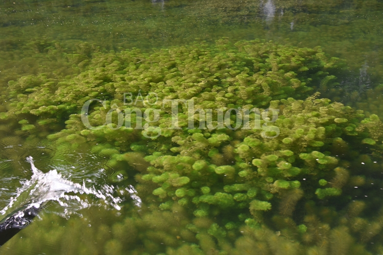 quyen ru khu du lich sinh thai trang an