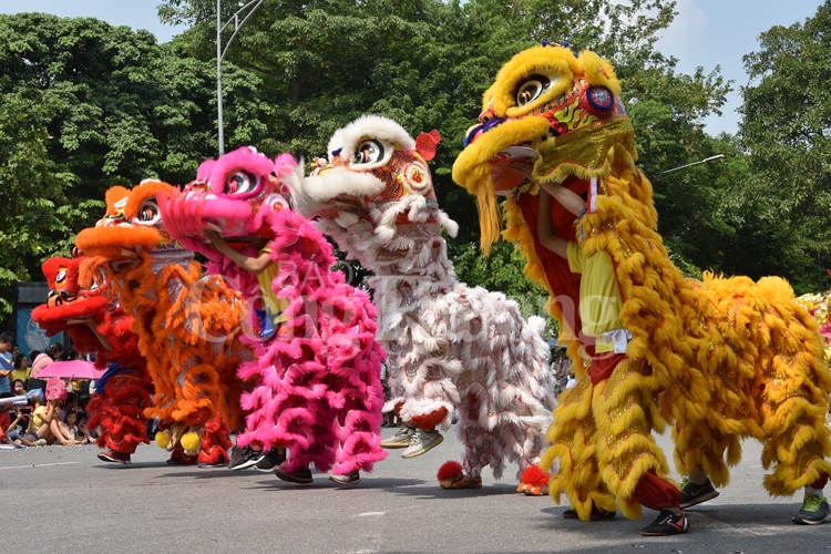 lien hoan mua rong truyen thong ha noi 2019