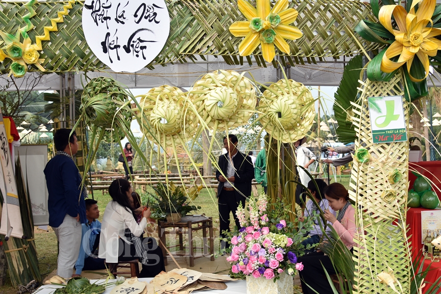 hanh trinh ve voi xu dua ben tre