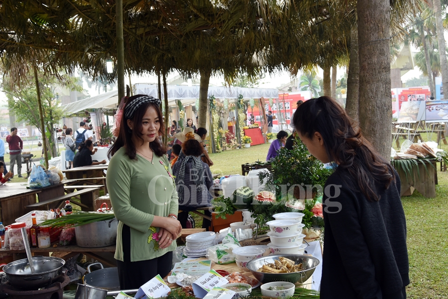 hanh trinh ve voi xu dua ben tre