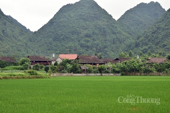 Lạng Sơn: Phấn đấu 13 xã đạt chuẩn nông thôn mới