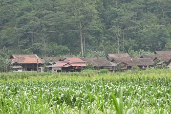 Năm 2020: Cao Bằng phấn đấu 25 xã đạt chuẩn nông thôn mới