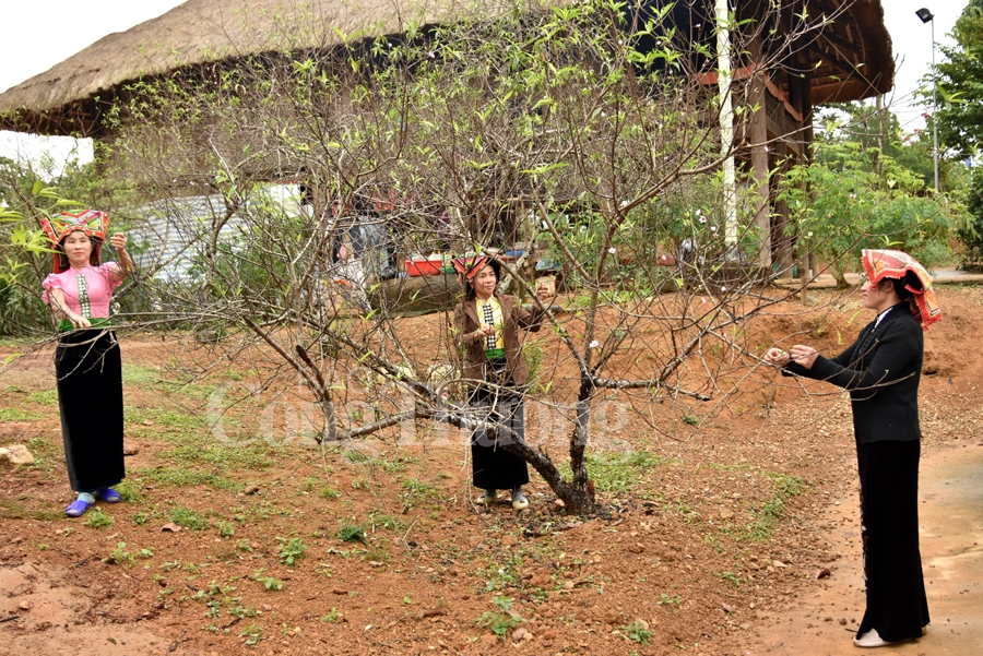 nam 2018 du khach den lang van hoa du lich cac dan toc viet nam tang ky luc