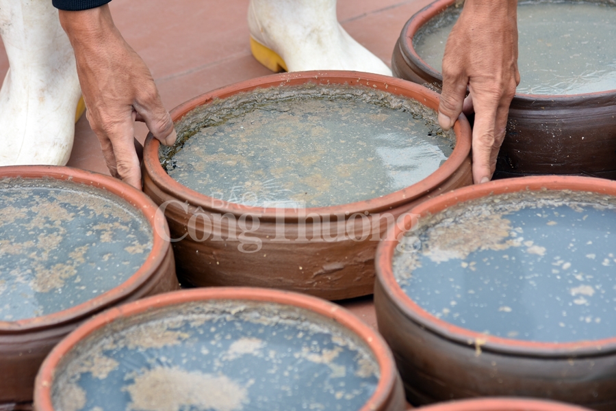 dam da huong vi nuoc mam truyen thong sa chau