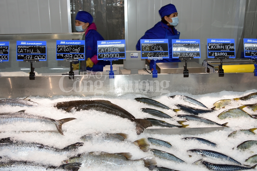 khai truong sieu thi ban le mm super market dau tien tai viet nam