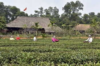 Đồng bào các dân tộc Làng Văn hóa ổn định cuộc sống trong mùa dịch