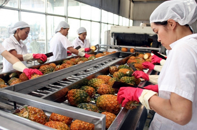 Rau quả Việt chinh phục các thị trường lớn rau qua viet chinh phuc cac thi truong lon