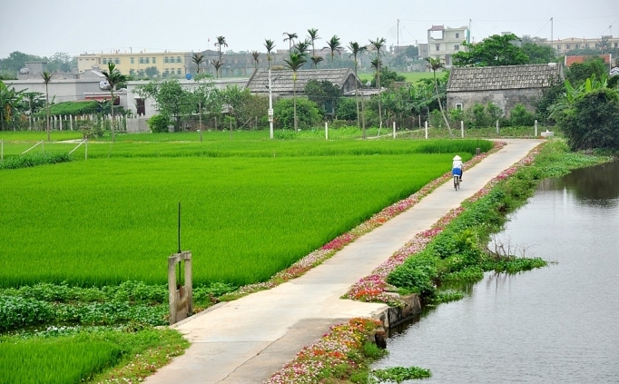 Đường về nhà… duong ve nha