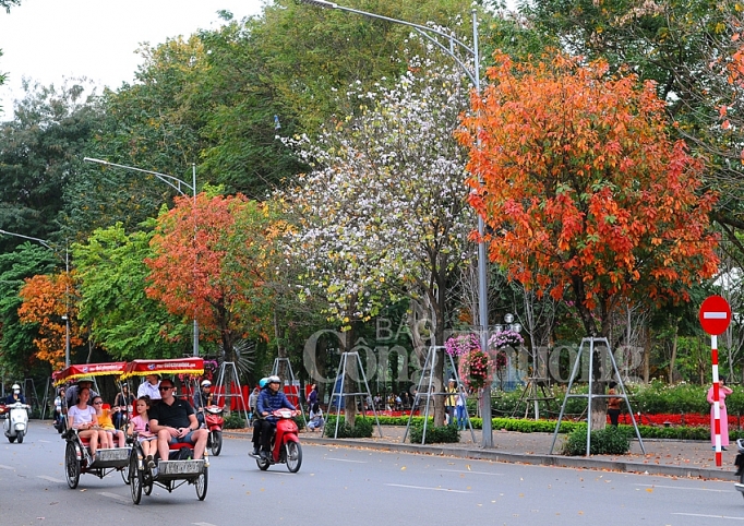 dep nao long ha noi mua cay thay la