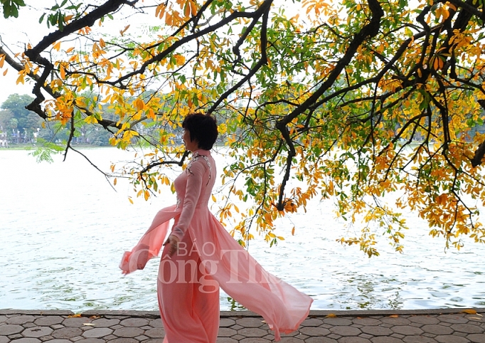 dep nao long ha noi mua cay thay la