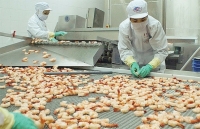 Năm 2019, xuất khẩu tôm đặt mục tiêu lớn
