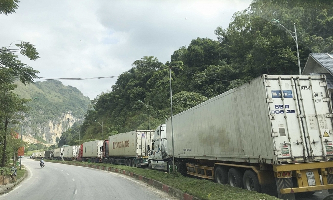 Bộ Y tế ủng hộ Bộ Công Thương xây dựng quy trình kiểm soát dịch bệnh tại biên giới bo y te ung ho bo cong thuong xay dung quy trinh kiem soat dich benh tai bien gioi
