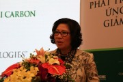 Phát triển đô thị Việt Nam theo hướng bền vững