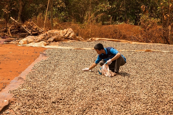 Cơ hội rộng mở cho các doanh nghiệp Việt Nam tại thị trường Trung Đông và Châu Phi co hoi rong mo cho cac doanh nghiep viet nam tai thi truong trung dong va chau phi