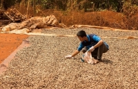 Cơ hội rộng mở cho các doanh nghiệp Việt Nam tại thị trường Trung Đông và Châu Phi