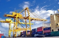 Quy mô và thị trường xuất khẩu ngày càng được mở rộng