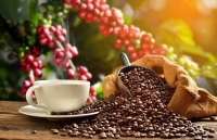 Đẩy mạnh hỗ trợ doanh nghiệp xuất khẩu vào Singapore