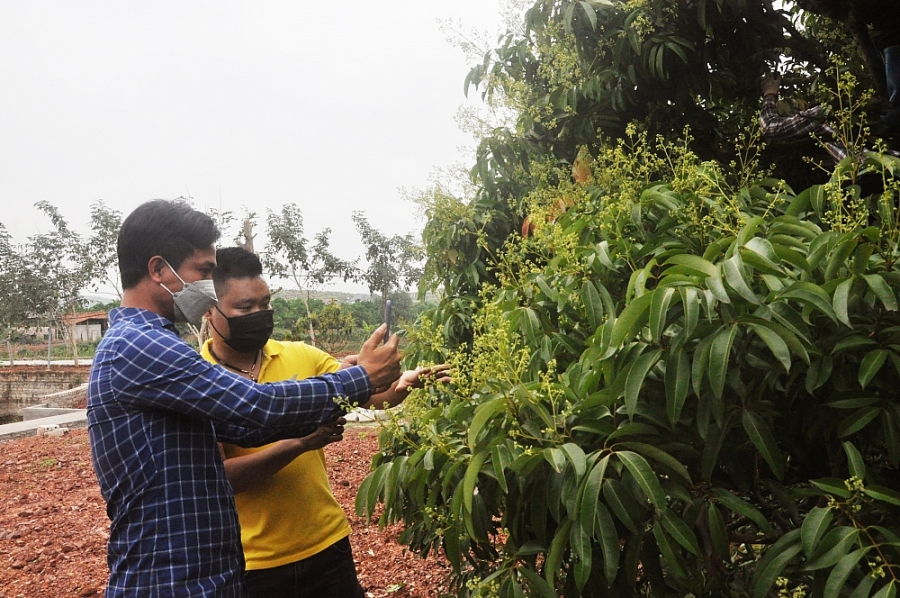 Hỗ trợ người dân livestream bán hàng