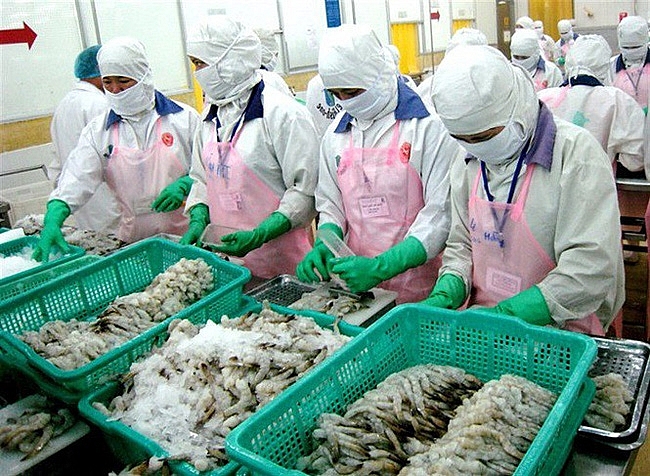 xuat khau giam eu van la thi truong tiem nang cua tom viet