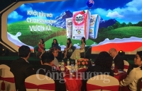 Coca-Cola ra mắt bộ sản phẩm sữa nước Nutriboost