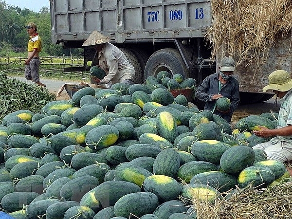 tem co chu trung quoc dan tren dua hau la tem truy xuat nguon goc