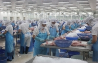 Xuất khẩu thủy sản sẽ khó khăn cho đến nửa đầu năm 2020