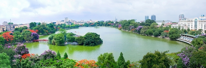 ruc ro sac hoa he ha noi