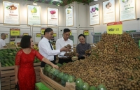 Xuất khẩu xoài Sơn La tăng mạnh