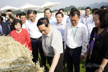 Công Thương qua góc nhìn báo chí ngày 28/5: Phát triển ngành công nghiệp sữa xanh, bền vững