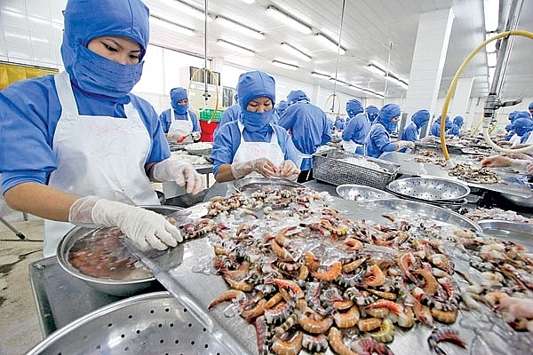 VKFTA tạo động lực xuất khẩu tôm sang Hàn Quốc vkfta tao dong luc xuat khau tom sang han quoc