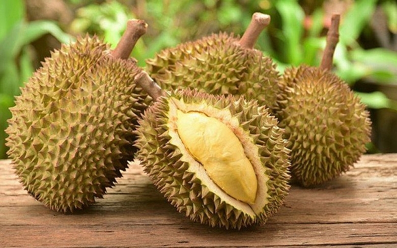 undefined 4148 saurieng