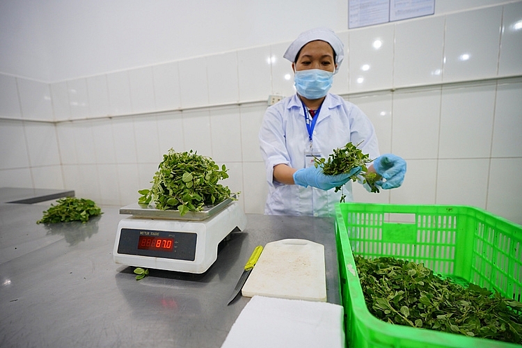 Nông sản được xử lý tại Trạm trung chuyển 1641nnl3947