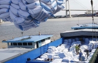 Trung Quốc đánh giá cao về cơ sở sản xuất, chế biến gạo của Việt Nam