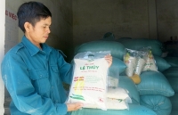 Xây dựng thương hiệu gạo Lệ Thủy bằng tiêu chuẩn OCOP