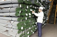 Phát huy vai trò của Hiệp hội, doanh nghiệp trong chống gian lận xuất xứ hàng hóa