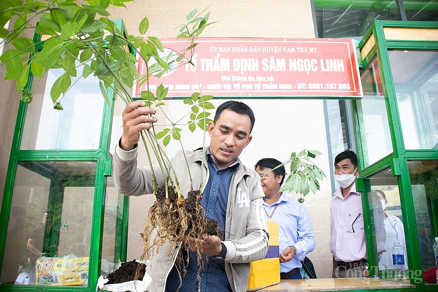 Chủ tịch nước Nguyễn Xuân Phúc: Biến sâm Ngọc Linh thành thương hiệu quốc gia, quốc bảo của Việt Nam