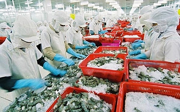 Xuất khẩu tôm sang Mỹ sẽ phục hồi trong những tháng cuối năm xuat khau tom sang my se phuc hoi trong nhung thang cuoi nam