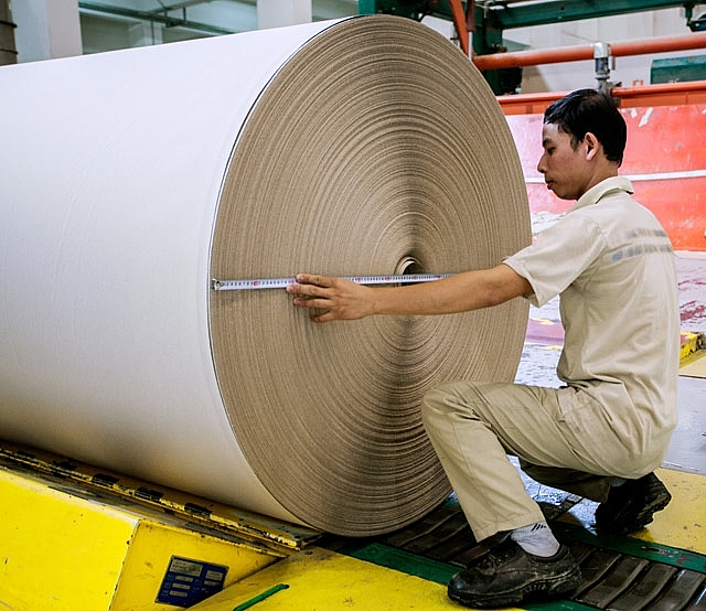 Quản lý nhập khẩu phế liệu sản xuất giấy: Doanh nghiệp lên tiếng quan ly nhap khau phe lieu san xuat giay doanh nghiep len tieng
