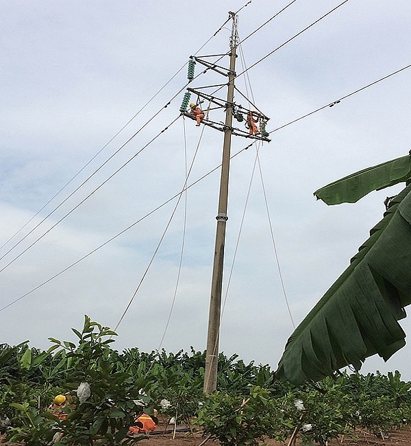 PC Hà Nam: Thi công lắp chụp nâng cao khoảng cách pha đất đường dây 110kV pc ha nam thi cong lap chup nang cao khoang cach pha dat duong day 110kv