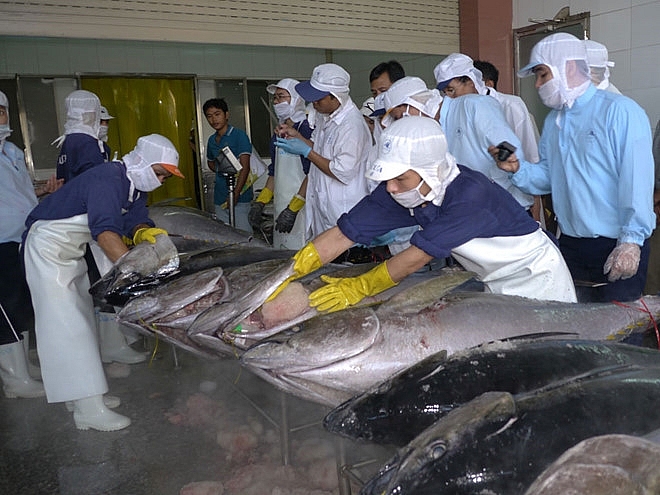 dinh the vang iuu xuat khau ca ngu sang eu giam manh
