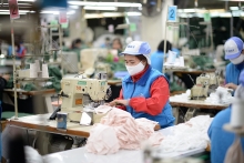 EVFTA là cầu nối để hàng Việt vào EU dưới thương hiệu Việt
